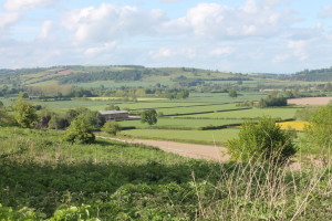 View from Wigmore Castle